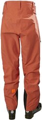 Slidinėjimo kelnės vyrams Helly Hansen 65751-300, rudos цена и информация | Мужская лыжная одежда | pigu.lt