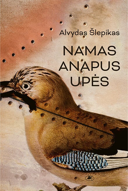 Namas anapus upės kaina ir informacija | Poezija | pigu.lt