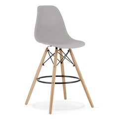 2-ių kėdžių komplektas Leobert Lamal, pilkas/rudas kaina ir informacija | Virtuvės ir valgomojo kėdės | pigu.lt