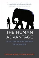 Human Advantage: How Our Brains Became Remarkable цена и информация | Книги по экономике | pigu.lt