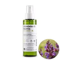 Šalavijų hidrolatas Salvia Officinalis BIO, 100 ml kaina ir informacija | Eteriniai, kosmetiniai aliejai, hidrolatai | pigu.lt