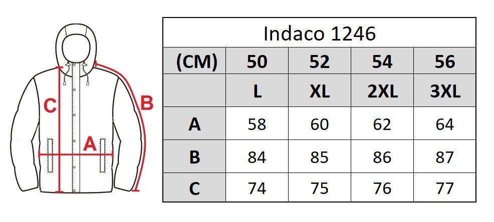 Striukė vyrams Indaco 1246 big, mėlyna цена и информация | Vyriškos striukės | pigu.lt