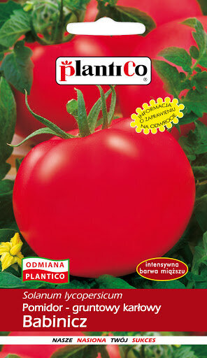 Pomidorai Babinicz kaina ir informacija | Daržovių, uogų sėklos | pigu.lt