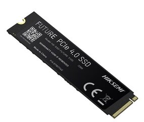 Hiksemi Future HS-SSD-FUTURE(STD)/1024G/PCIE4/WW цена и информация | Внутренние жёсткие диски (HDD, SSD, Hybrid) | pigu.lt