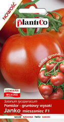Pomidorai Janko F1 kaina ir informacija | Daržovių, uogų sėklos | pigu.lt