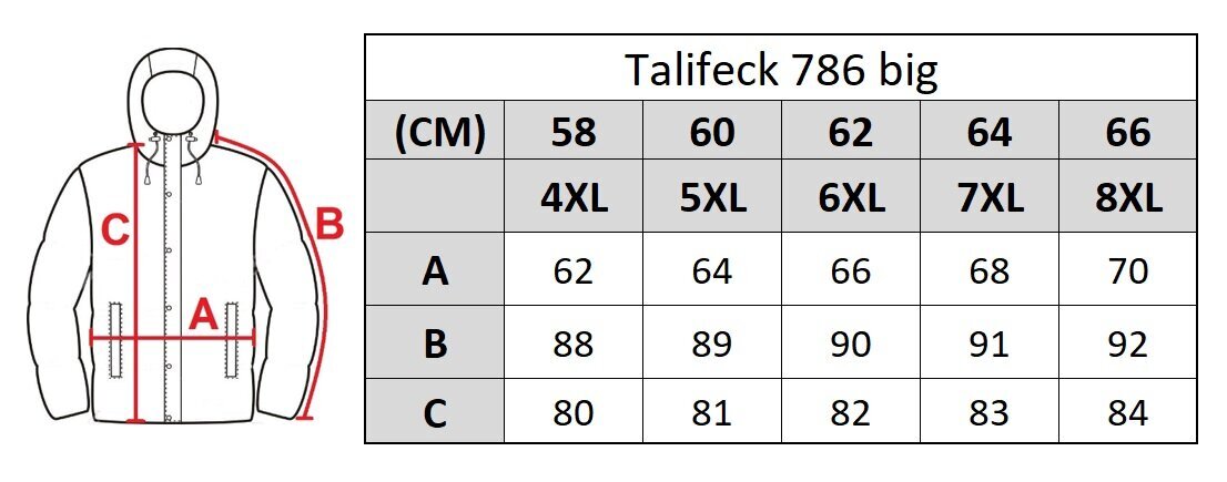 Striukė vyrams Talifeck 7861 big, juoda kaina ir informacija | Vyriškos striukės | pigu.lt