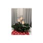 Kalėdinė dekoracija Šakelės papuošimui kaina ir informacija | Kalėdinės dekoracijos | pigu.lt