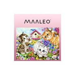 Tapyba pagal skaičius 40x50cm.  - Maaleo cats 22781 цена и информация | Репродукции, картины | pigu.lt