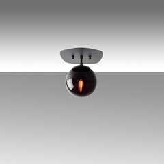 Lubinis šviestuvas Well-11676 цена и информация | Потолочные светильники | pigu.lt