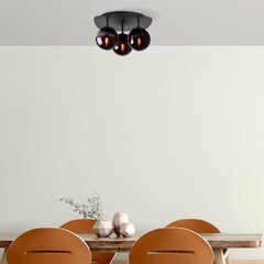 Lubinis šviestuvas Well-11720 цена и информация | Потолочные светильники | pigu.lt