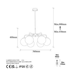 Pakabinamas šviestuvas Viran-11025 kaina ir informacija | Pakabinami šviestuvai | pigu.lt