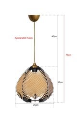 Pakabinamas šviestuvas YL224 kaina ir informacija | Pakabinami šviestuvai | pigu.lt