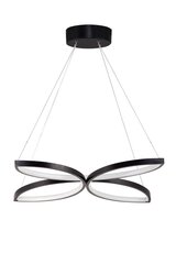 Lubinis šviestuvas Eriphos цена и информация | Потолочные светильники | pigu.lt