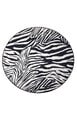 Kilimas Zebra 100x100 cm