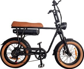 Электровелосипед Tourwheel T6, 20", оранжевый, 350 Вт, 17,5 Ач цена и информация | Электровелосипеды | pigu.lt