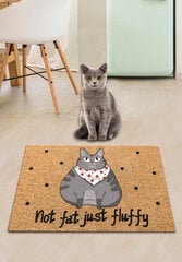Kačių kraiko kilimėlis Pvc Not Fat цена и информация | Туалеты для кошек | pigu.lt