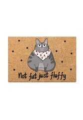 Kačių kraiko kilimėlis Pvc Not Fat цена и информация | Туалеты для кошек | pigu.lt