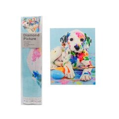 Deimantinė mozaika ant drobės, šuniukas, 30 x 40 cm kaina ir informacija | Deimantinės mozaikos | pigu.lt