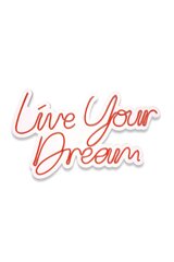 Pakabinama dekoracija Live Your Dream 53 cm kaina ir informacija | Interjero detalės | pigu.lt