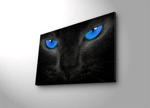 Репродукция Черная кошка цена и информация | Репродукции, картины | pigu.lt