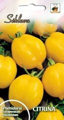 Pomidorai Citrina kaina ir informacija | Daržovių, uogų sėklos | pigu.lt