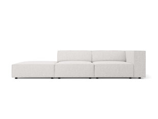 Kairinė sofa Cosmopolitan Design Arendal, pilka цена и информация | Диваны | pigu.lt