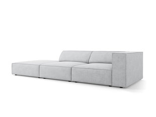 Kairinė sofa Cosmopolitan Design Arendal, pilka kaina ir informacija | Sofos | pigu.lt