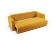 Sofa Mazzini Sofas Daisy, geltona kaina ir informacija | Sofos | pigu.lt