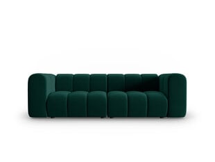 Sofa Windsor & Co Cassini, žalia kaina ir informacija | Sofos | pigu.lt