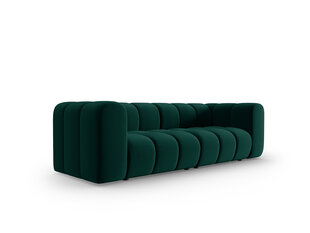 Sofa Windsor & Co Cassini, žalia kaina ir informacija | Sofos | pigu.lt