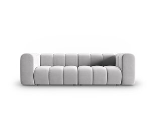 Sofa Windsor & Co Cassini, pilka цена и информация | Диваны | pigu.lt