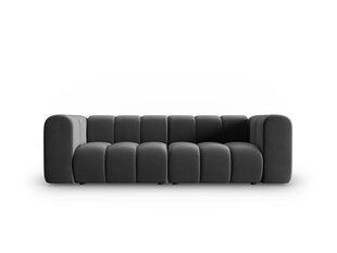 Sofa Windsor & Co Cassini, pilka kaina ir informacija | Sofos | pigu.lt