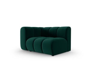 Fotelis Windsor & Co Cassini, žalias цена и информация | Кресла в гостиную | pigu.lt