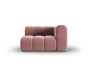 Fotelis Windsor & Co Cassini, rožinis kaina ir informacija | Svetainės foteliai | pigu.lt