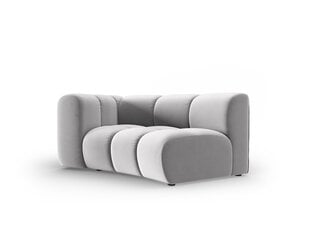 Fotelis Windsor & Co Cassini, pilkas цена и информация | Кресла в гостиную | pigu.lt