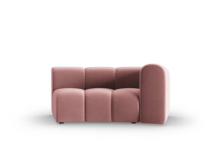 Fotelis Windsor & Co Cassini, rožinis kaina ir informacija | Svetainės foteliai | pigu.lt