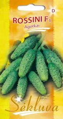 Paprastieji trumpavaisiai agurkai Rossini F1 kaina ir informacija | Daržovių, uogų sėklos | pigu.lt