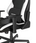 Žaidimų kėdė DXracer Drifting, juoda/balta kaina ir informacija | Biuro kėdės | pigu.lt