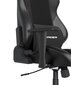 Žaidimų kėdė DXracer Drifting, juoda kaina ir informacija | Biuro kėdės | pigu.lt