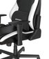 Žaidimų kėdė DXRacer’s Drifting XL, juoda/balta kaina ir informacija | Biuro kėdės | pigu.lt