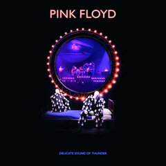 CD Pink Floyd Delicate Sound Of Thunder kaina ir informacija | Vinilinės plokštelės, CD, DVD | pigu.lt