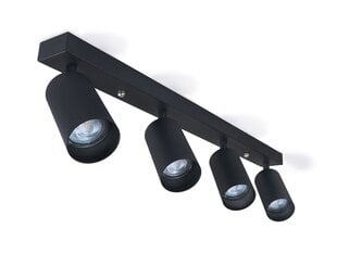Светодиодный накладной галогенный настенно-потолочный светильник Viki L x4 - Белый цена и информация | Потолочные светильники | pigu.lt