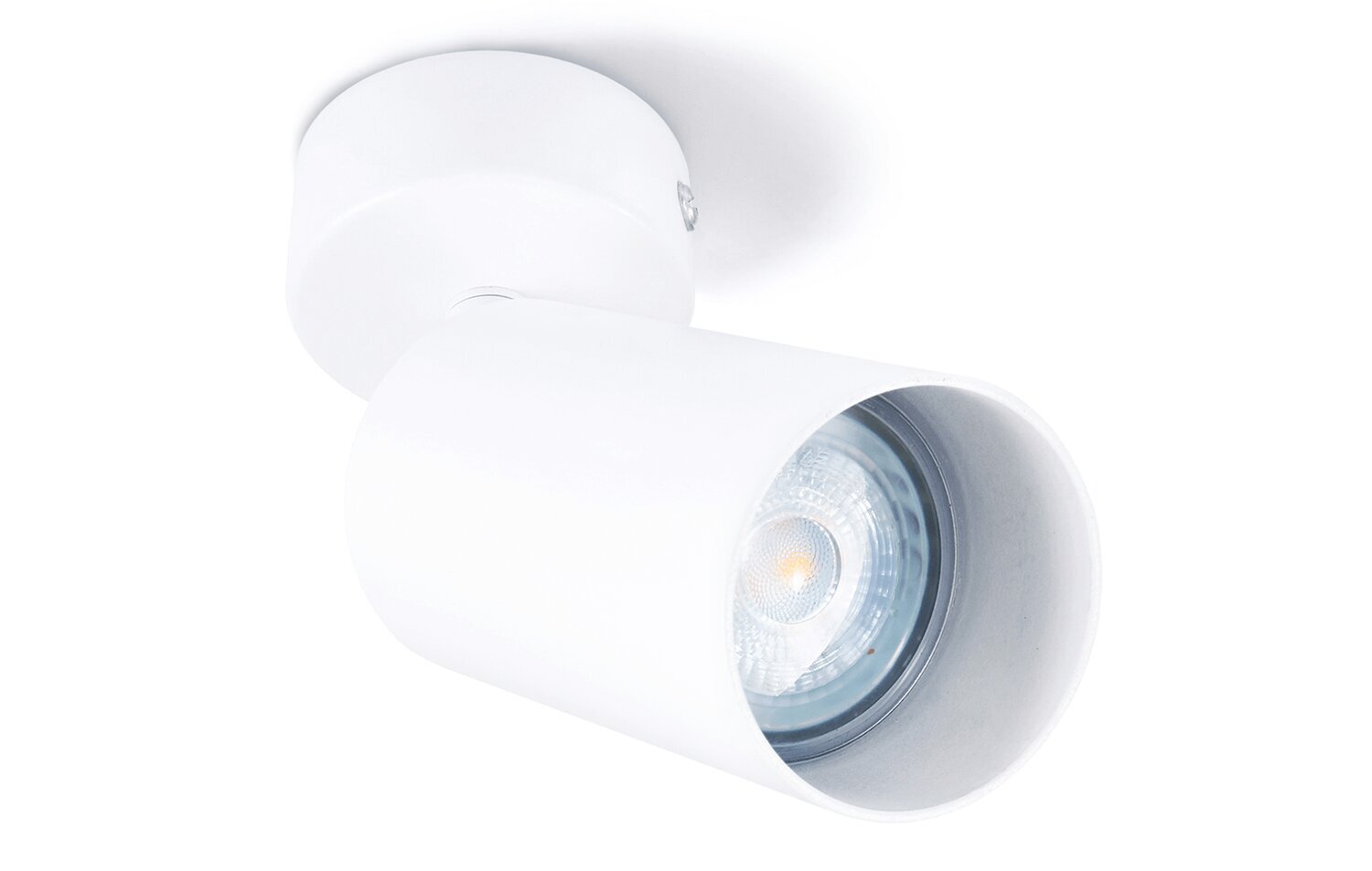 Sieninis/lubinis šviestuvas Viki Lx1 kaina ir informacija | Lubiniai šviestuvai | pigu.lt