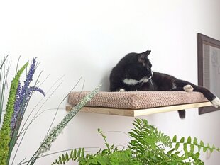 Sieninė lentyna katėms Cat's Atelier Lokia katėms, 60 cm, ruda kaina ir informacija | Žaislai katėms | pigu.lt