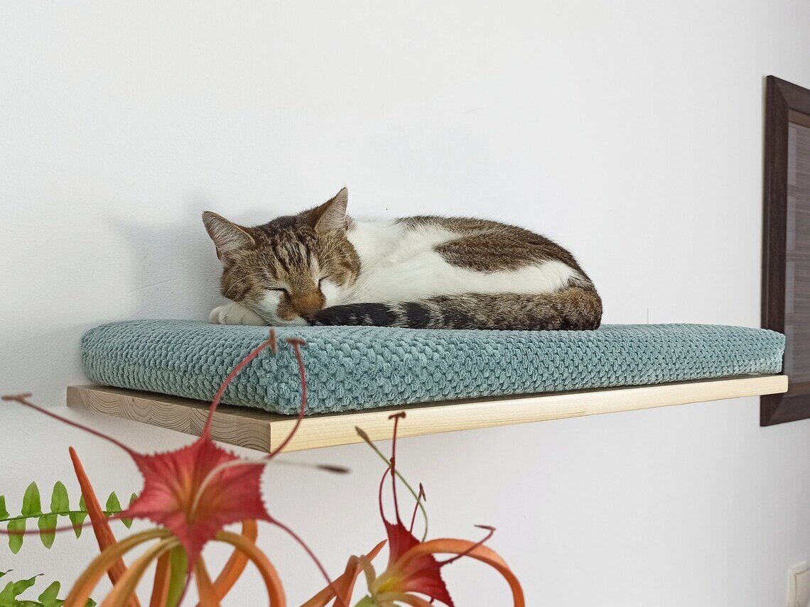 Sieninė lentyna katėms Wood Base Cat Flat, 75 cm kaina ir informacija | Guoliai, pagalvėlės | pigu.lt