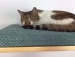 Sieninė lentyna katėms Wood Base Cat Flat, 75 cm kaina ir informacija | Guoliai, pagalvėlės | pigu.lt