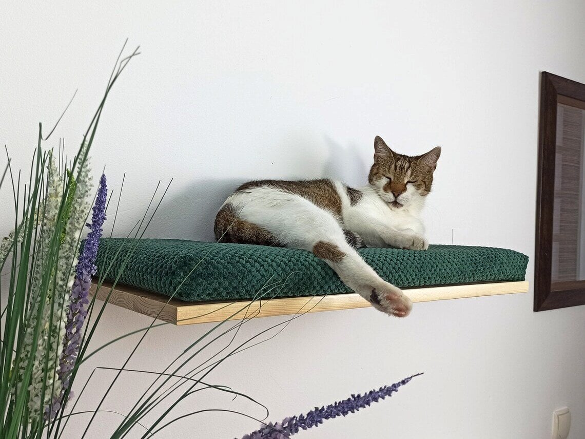 Sieninė lentyna katėms Wood Base Cat Flat, 75 cm kaina ir informacija | Guoliai, pagalvėlės | pigu.lt