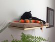 Sieninė lentyna katėms Wood Base Cat Flat, 75 cm kaina ir informacija | Guoliai, pagalvėlės | pigu.lt