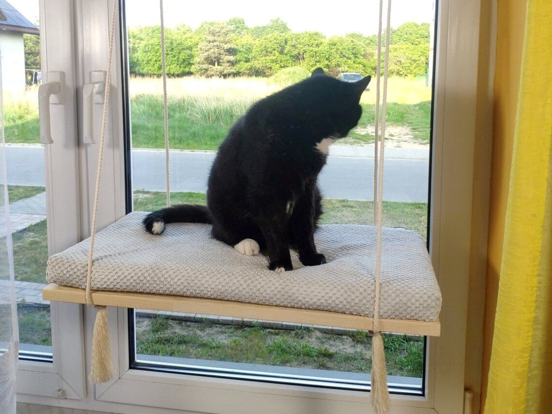 Medinė langų lentyna katėms Cat's Atelier Lokia, 60 cm kaina ir informacija | Guoliai, pagalvėlės | pigu.lt