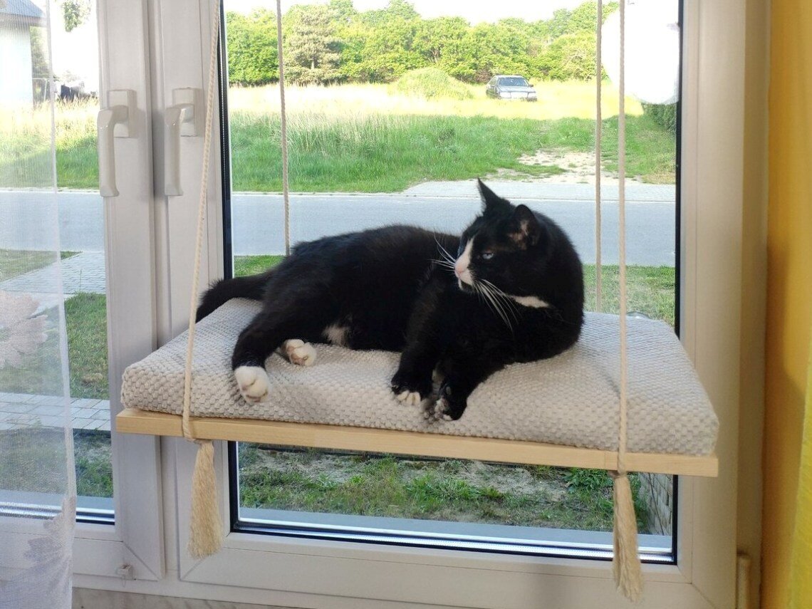 Medinė langų lentyna katėms Cat's Atelier Lokia, 60 cm цена и информация | Guoliai, pagalvėlės | pigu.lt